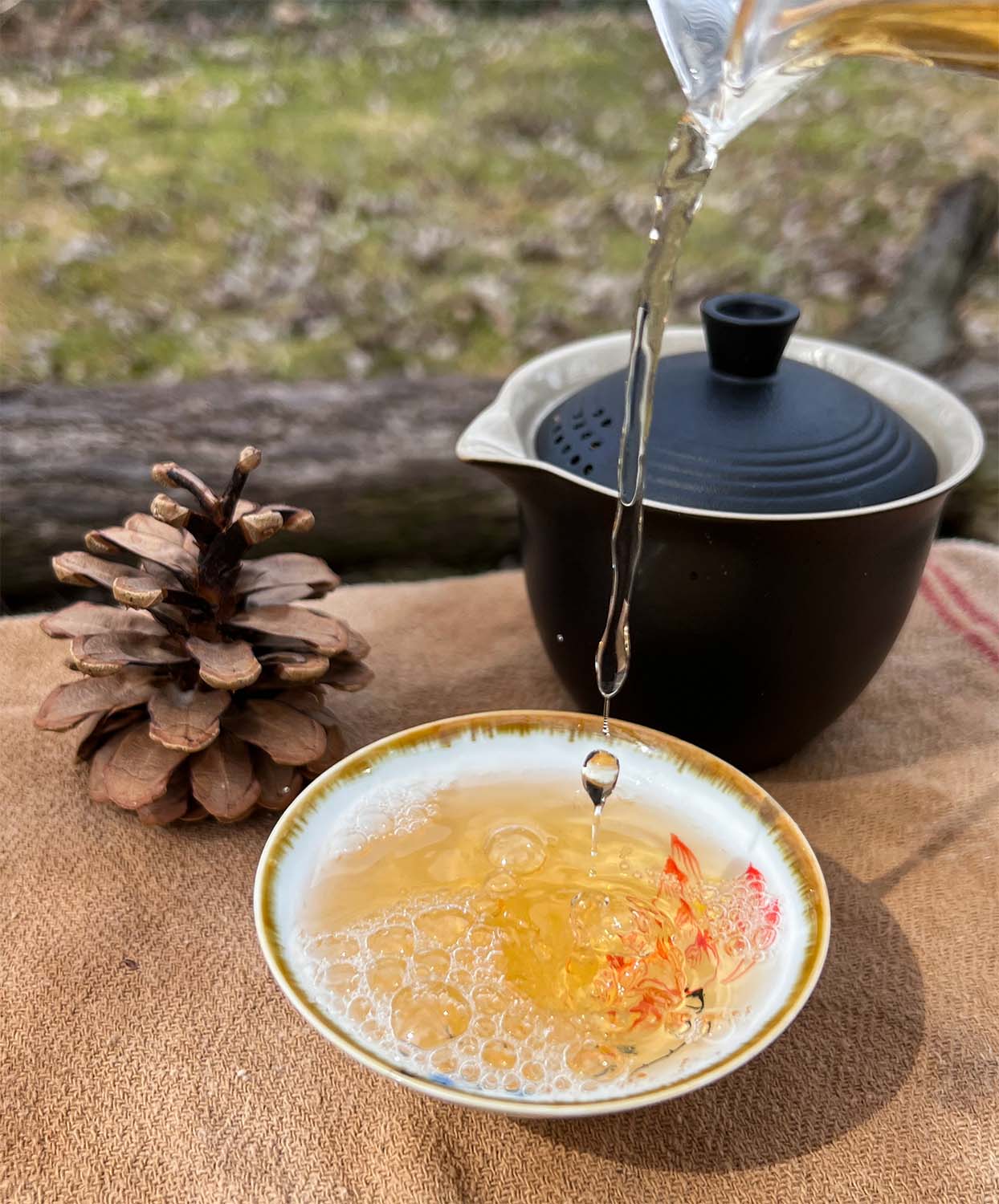 Chasing Spring: Ancient Trees Sheng main image 2