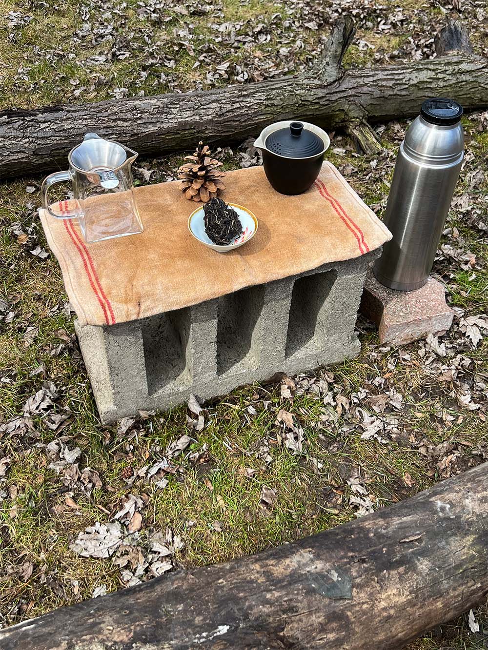 Chasing Spring: Ancient Trees Sheng thumbnail 3