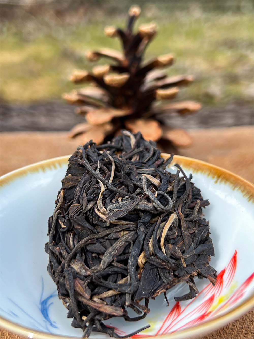 Chasing Spring: Ancient Trees Sheng thumbnail 4