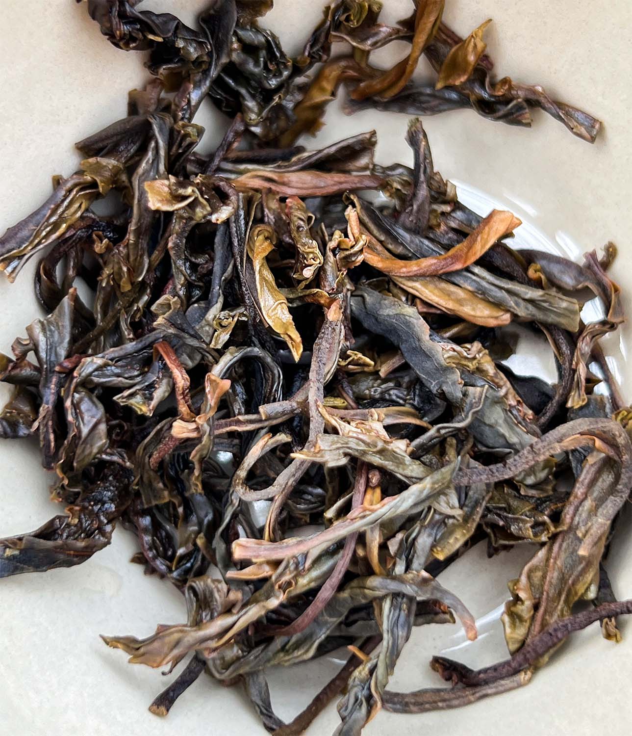 Chasing Spring: Ancient Trees Sheng main image 5