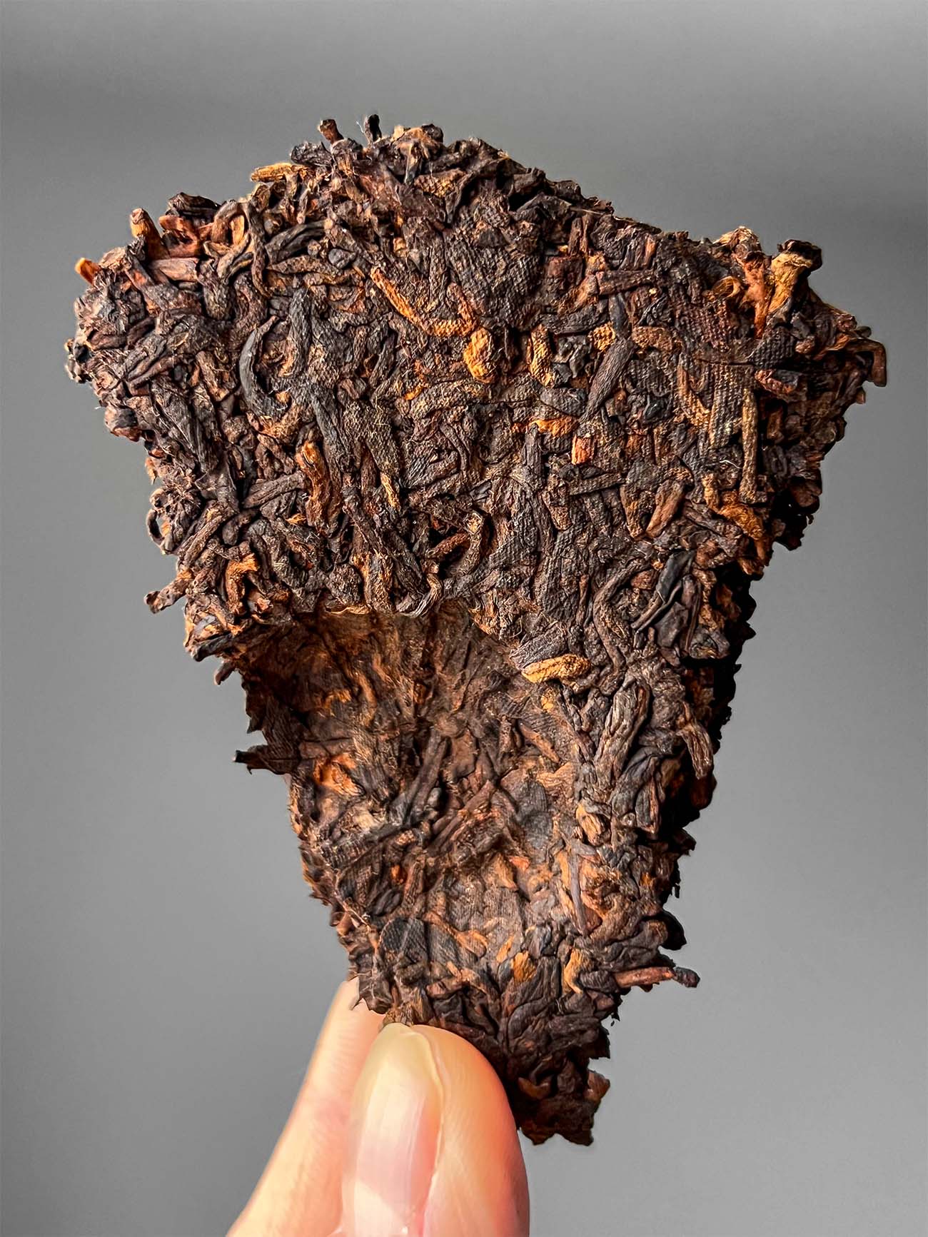 Gong Ting from Yong De, Da Xue Shan, Lincang main image 1