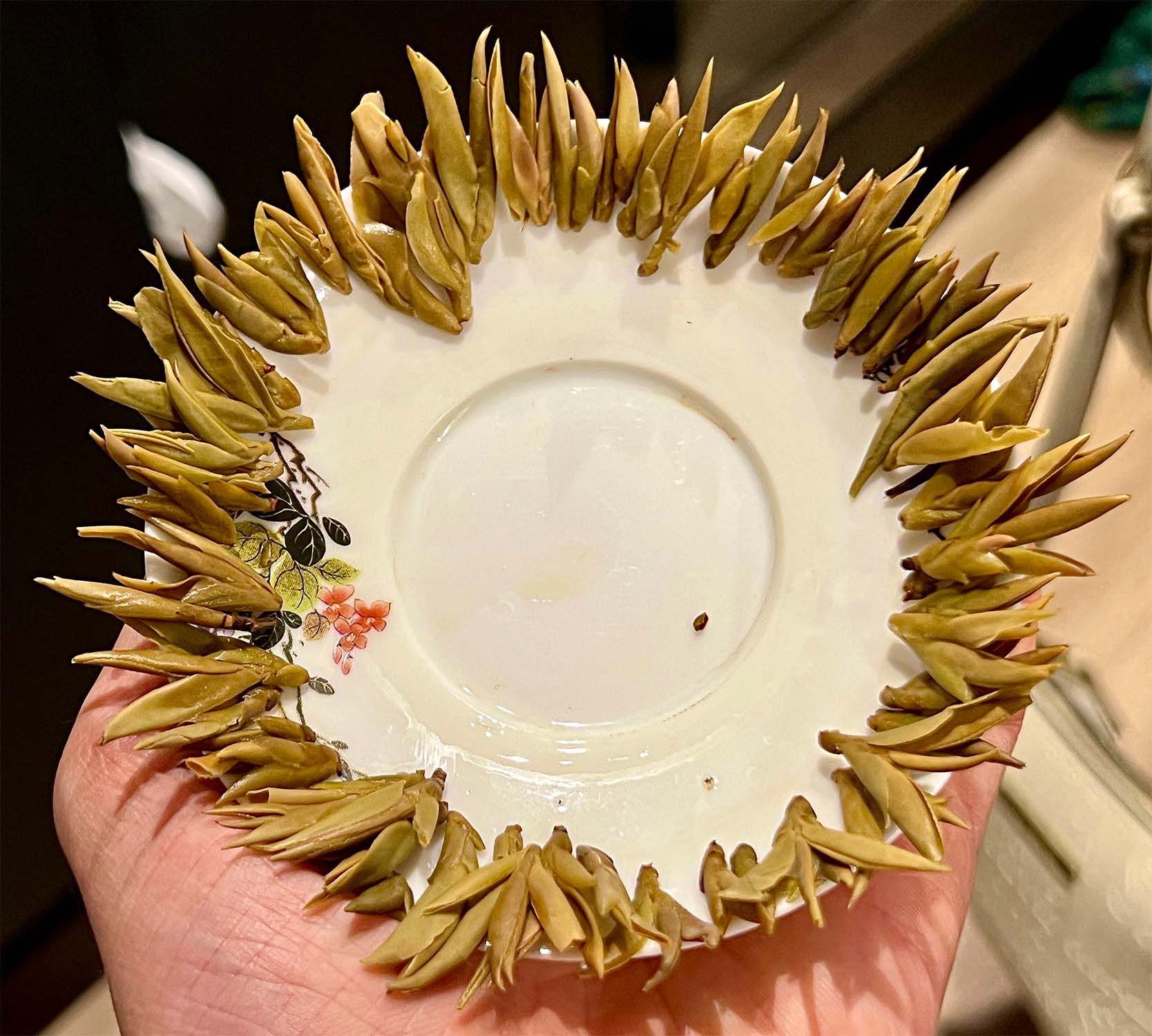 Wild Purple White Tea “Ye Sheng Ya Bao” thumbnail 3