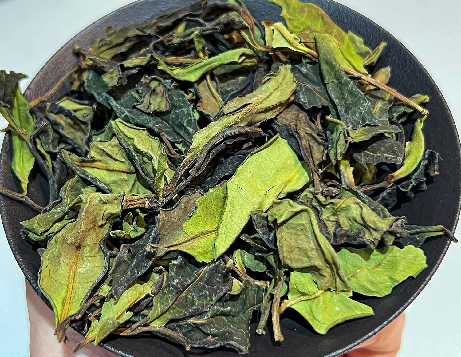 Wild Tree Purple Moonlight White Tea from Jinggu