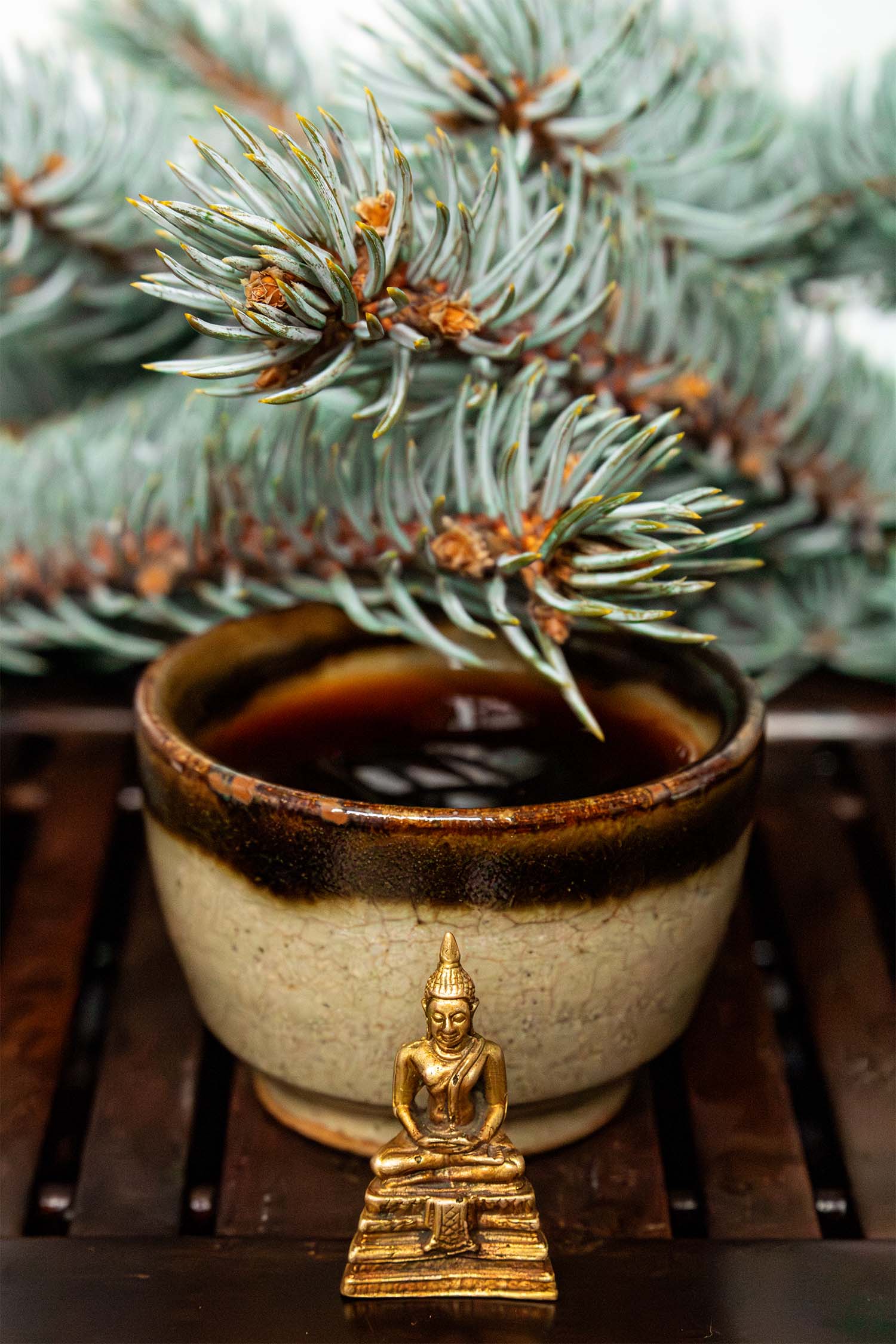 2024 Mengku x Menghai Ripe Pu'er thumbnail 3
