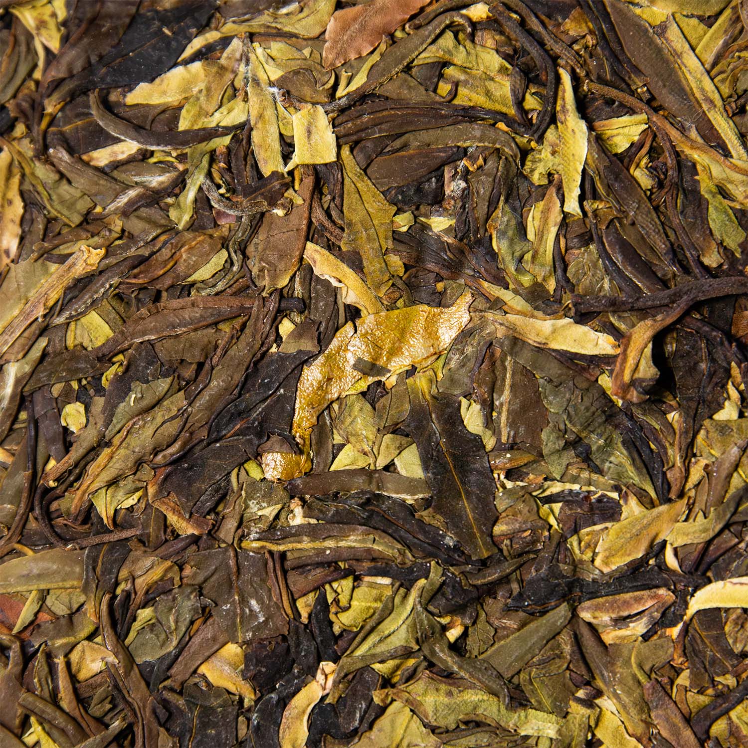 2023 Purple Yue Guang Bai White Tea thumbnail 2
