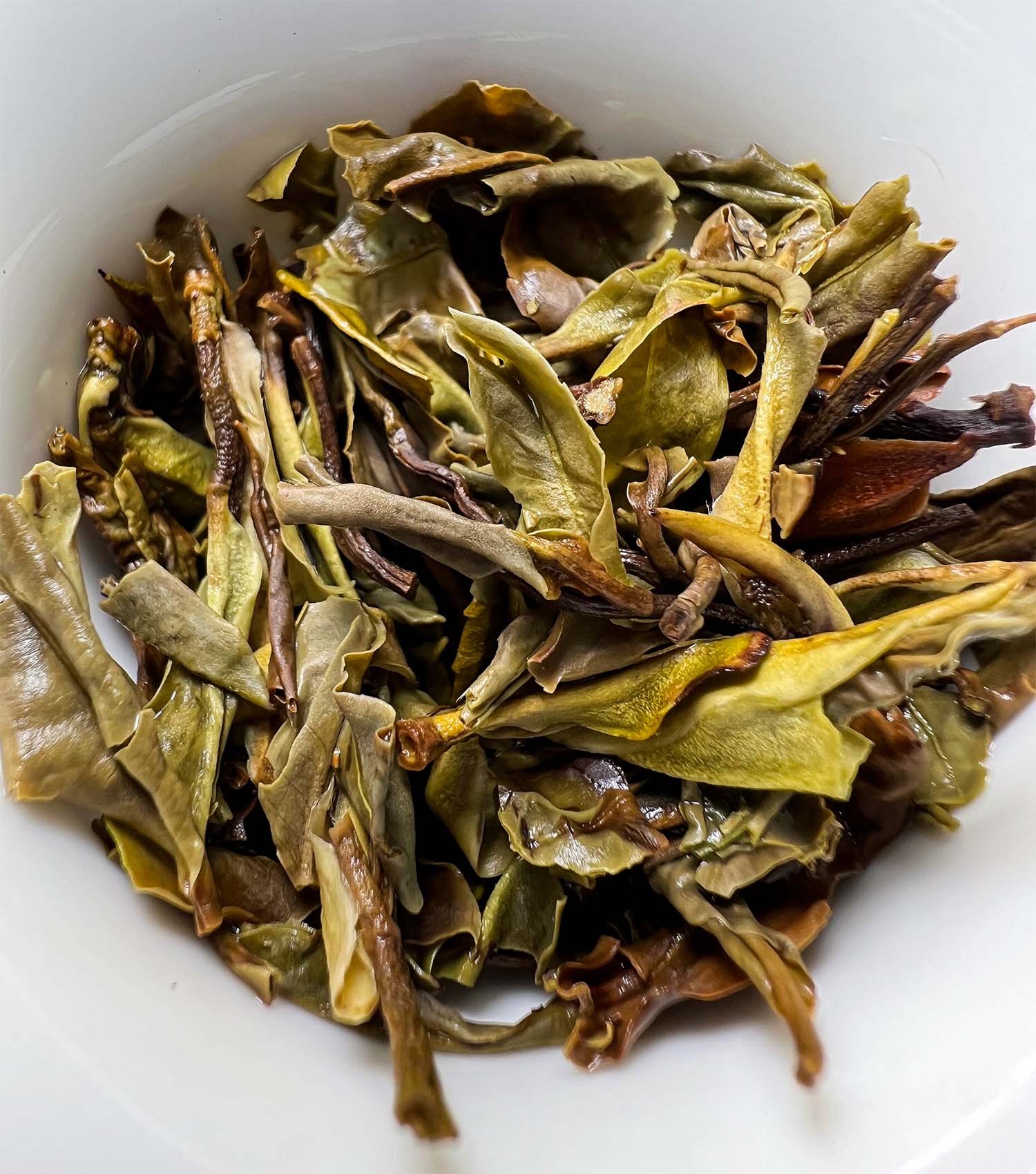 2023 Purple Yue Guang Bai