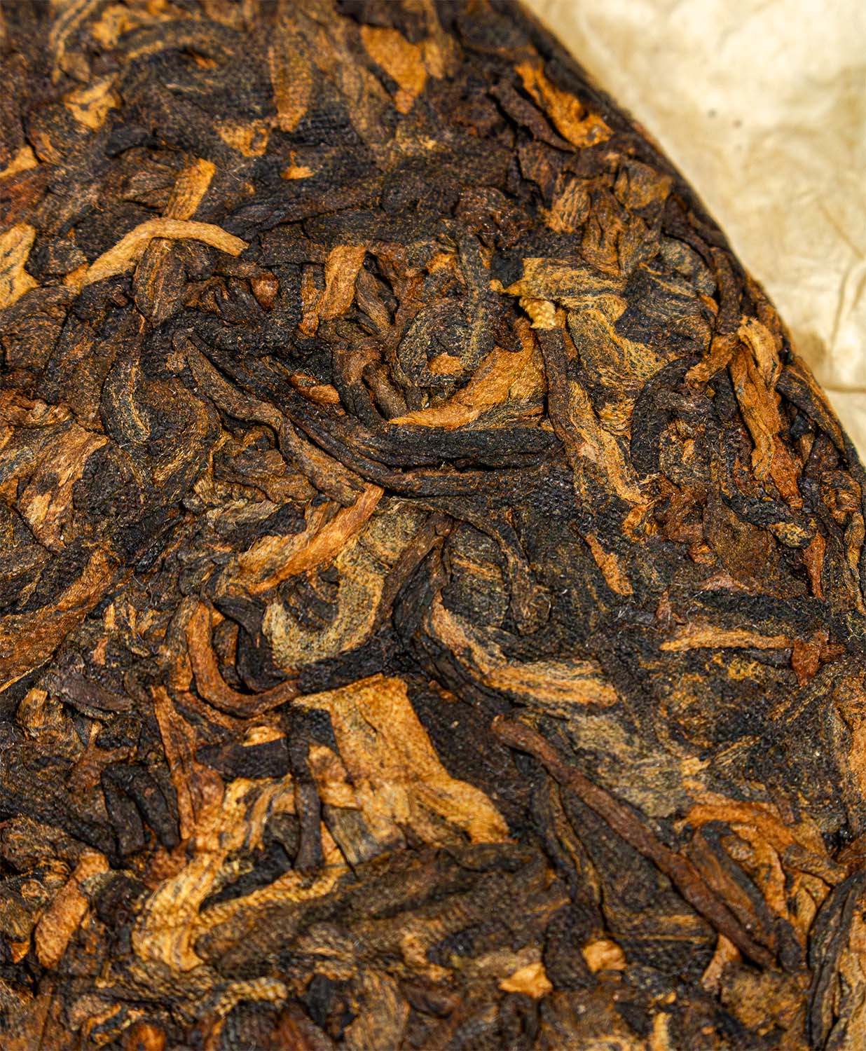 Ku Zhu Shan "Guardian 2.0" Ripe Pu'er thumbnail 2