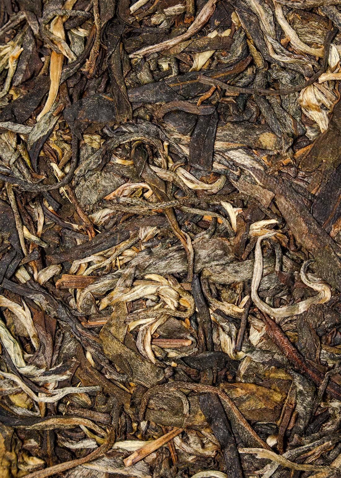 Photo of Raw Pu'er Ku Zhu Shan x Kun Lu Shan "Aurora Borealis" number 2
