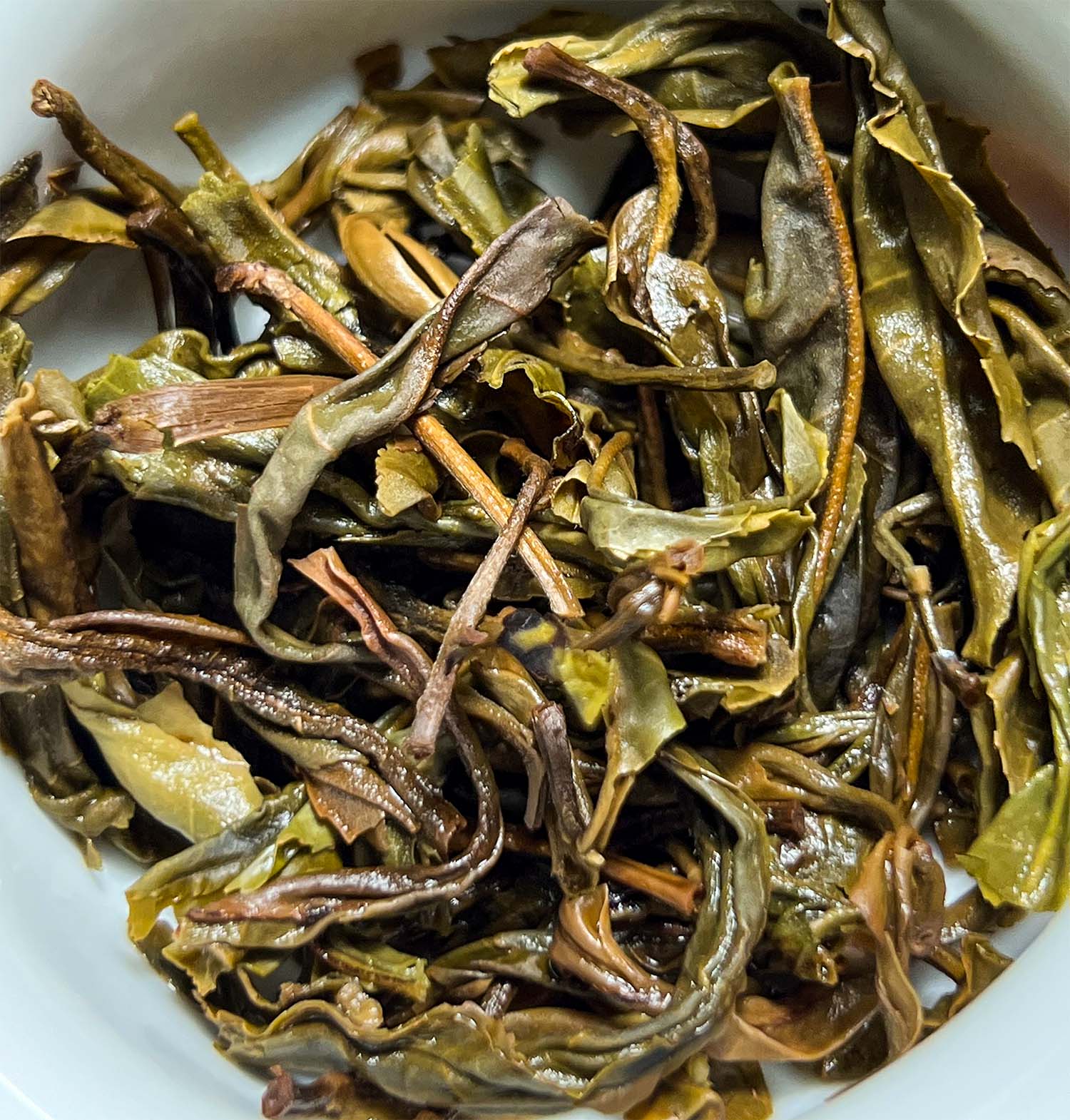 Photo of Raw Pu'er Ku Zhu Shan x Kun Lu Shan "Aurora Borealis" number 4
