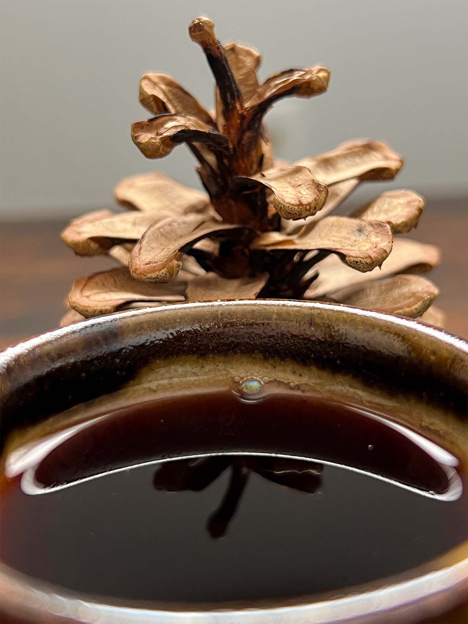 Kun Lu Shan, Mengku, Lincang, Old Trees "Dao Shi" Ripe Pu'er thumbnail 7